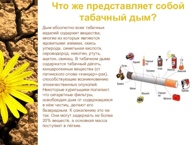 Что же представляет собой табачный дым? Дым абсолютно всех табачных изделий содержит