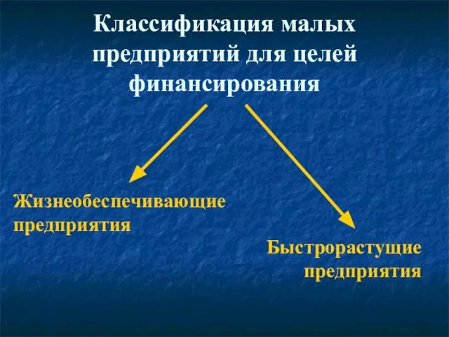 Классификация малых предприятий для целей финансирования Жизнеобеспечивающие предприятия Быстрорастущие предприятия