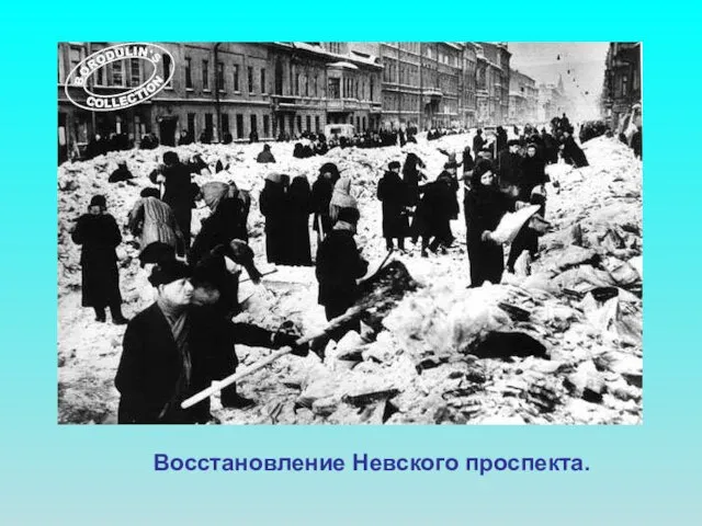 Восстановление Невского проспекта. Восстановление Невского проспекта.