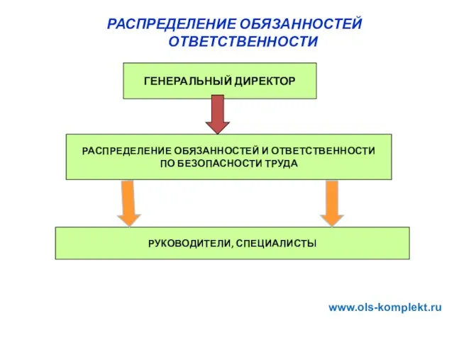 РАСПРЕДЕЛЕНИЕ ОБЯЗАННОСТЕЙ ОТВЕТСТВЕННОСТИ ГЕНЕРАЛЬНЫЙ ДИРЕКТОР РУКОВОДИТЕЛИ, СПЕЦИАЛИСТЫ РАСПРЕДЕЛЕНИЕ ОБЯЗАННОСТЕЙ И ОТВЕТСТВЕННОСТИ ПО БЕЗОПАСНОСТИ ТРУДА www.ols-komplekt.ru