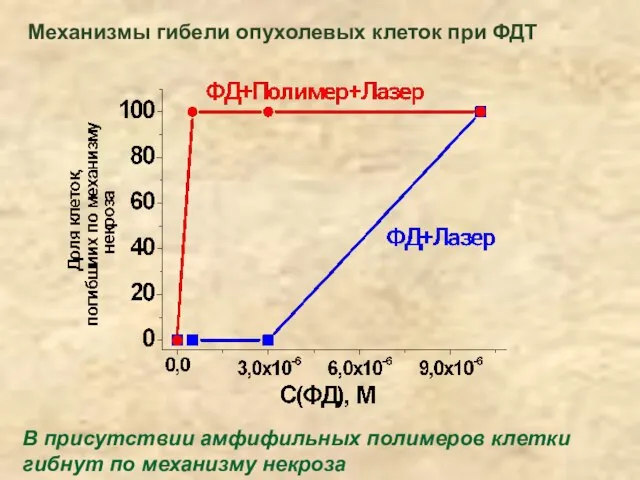 В присутствии амфифильных полимеров клетки гибнут по механизму некроза Механизмы гибели опухолевых клеток при ФДТ