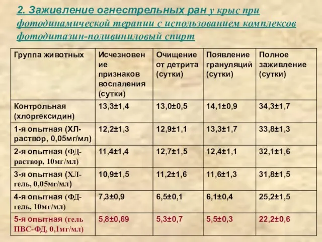 2. Заживление огнестрельных ран у крыс при фотодинамической терапии с использованием комплексов фотодитазин-поливиниловый спирт