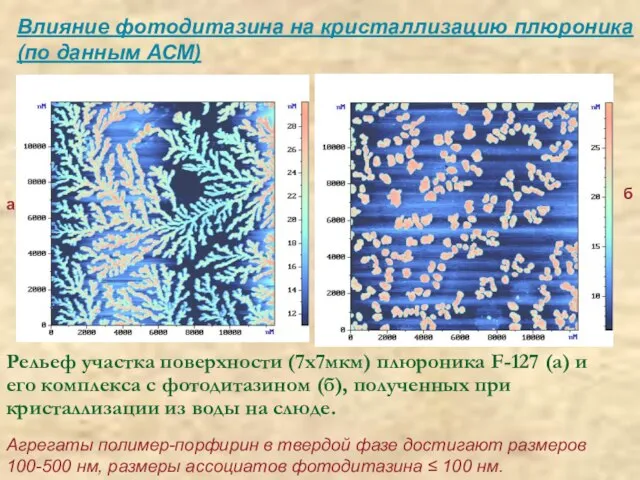 Влияние фотодитазина на кристаллизацию плюроника (по данным АСМ) Агрегаты полимер-порфирин в твердой