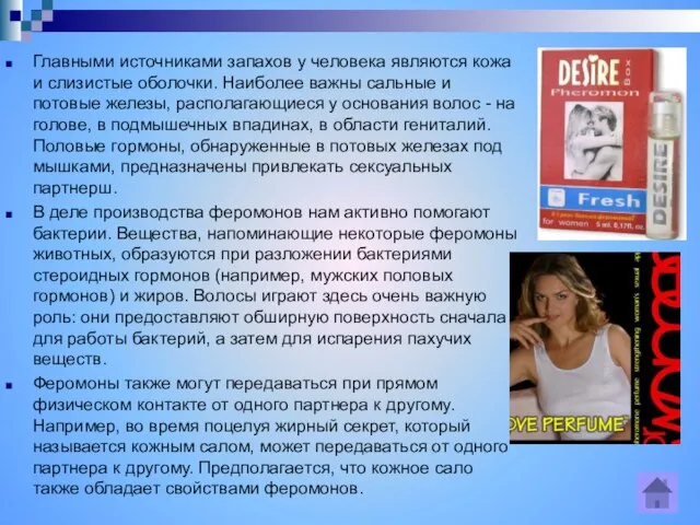 Главными источниками запахов у человека являются кожа и слизистые оболочки. Наиболее важны