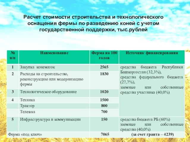 Расчет стоимости строительства и технологического оснащения фермы по разведению коней с учетом государственной поддержки, тыс.рублей