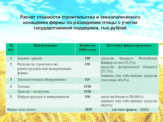 Расчет стоимости строительства и технологического оснащения фермы по разведению птицы с учетом государственной поддержки, тыс.рублей