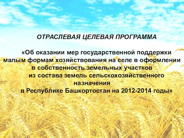 ОТРАСЛЕВАЯ ЦЕЛЕВАЯ ПРОГРАММА «Об оказании мер государственной поддержки малым формам хозяйствования на