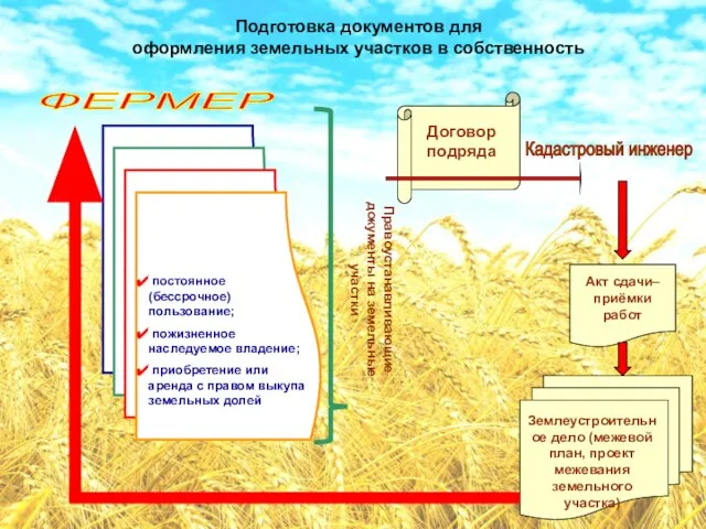 Подготовка документов для оформления земельных участков в собственность ФЕРМЕР Кадастровый инженер Правоустанавливающие