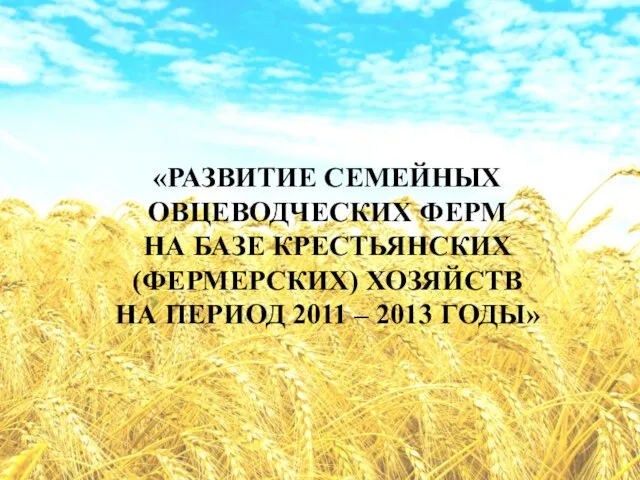 «РАЗВИТИЕ СЕМЕЙНЫХ ОВЦЕВОДЧЕСКИХ ФЕРМ НА БАЗЕ КРЕСТЬЯНСКИХ (ФЕРМЕРСКИХ) ХОЗЯЙСТВ НА ПЕРИОД 2011 – 2013 ГОДЫ»