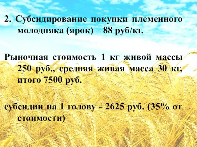 2. Субсидирование покупки племенного молодняка (ярок) – 88 руб/кг. Рыночная стоимость 1