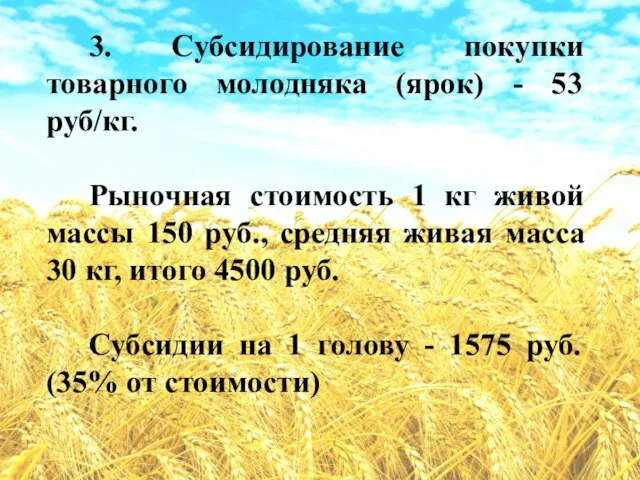 3. Субсидирование покупки товарного молодняка (ярок) - 53 руб/кг. Рыночная стоимость 1