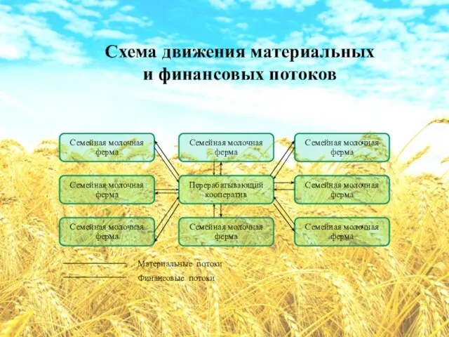 Схема движения материальных и финансовых потоков Семейная молочная ферма Перерабатывающий кооператив Семейная