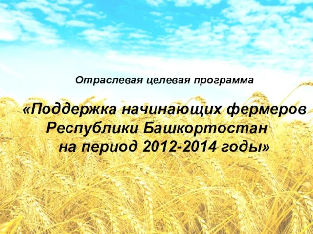 Отраслевая целевая программа «Поддержка начинающих фермеров Республики Башкортостан на период 2012-2014 годы»