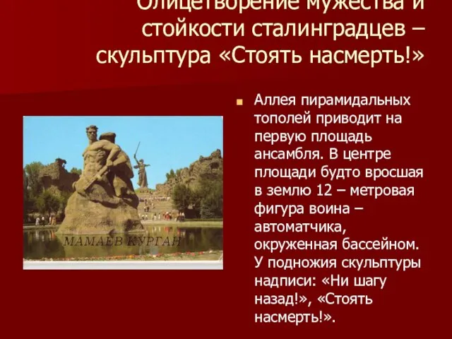 Олицетворение мужества и стойкости сталинградцев – скульптура «Стоять насмерть!» Аллея пирамидальных тополей