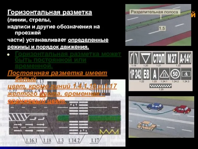 Виды дорожной разметки Горизонтальная разметка (линии, стрелы, надписи и другие обозначения на