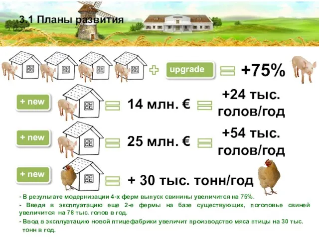 3.1 Планы развития - В результате модернизации 4-х ферм выпуск свинины увеличится