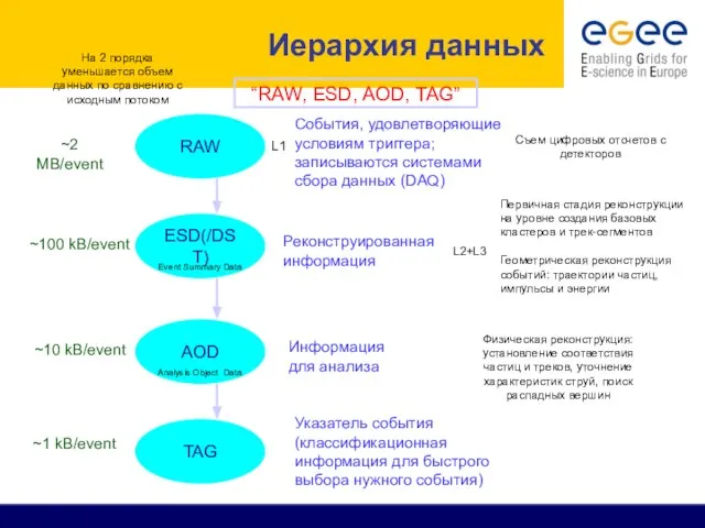 Иерархия данных “RAW, ESD, AOD, TAG” RAW ~2 MB/event ESD(/DST) Первичная стадия