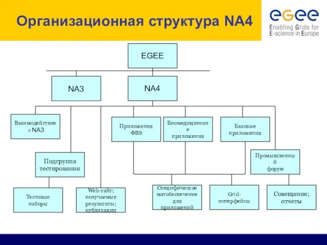 Организационная структура NA4 EGEE NA3 NA4 Биомедицинские приложения Приложения ФВЭ Базовые приложения