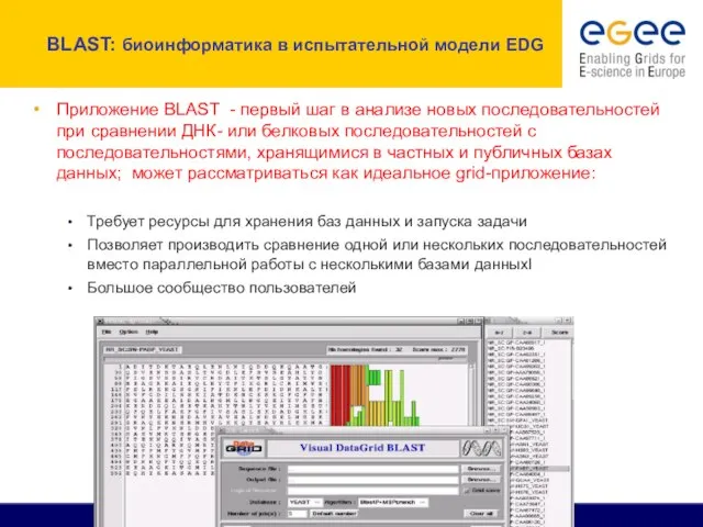 BLAST: биоинформатика в испытательной модели EDG Приложение BLAST - первый шаг в