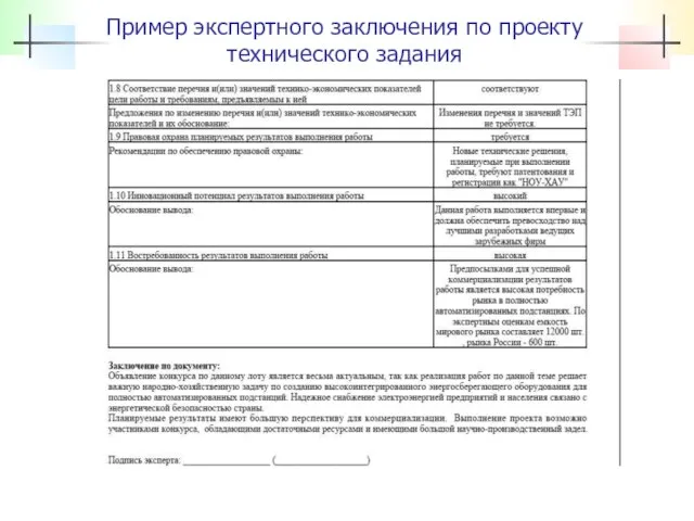 Пример экспертного заключения по проекту технического задания