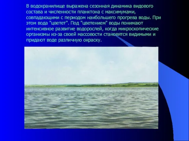 В водохранилище выражена сезонная динамика видового состава и численности планктона с максимумами,