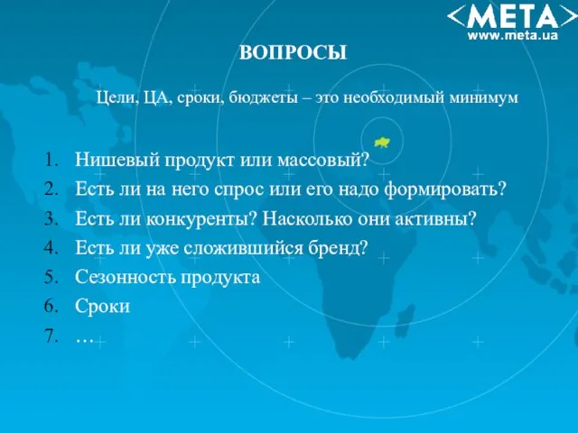 Цели, ЦА, сроки, бюджеты – это необходимый минимум Нишевый продукт или массовый?