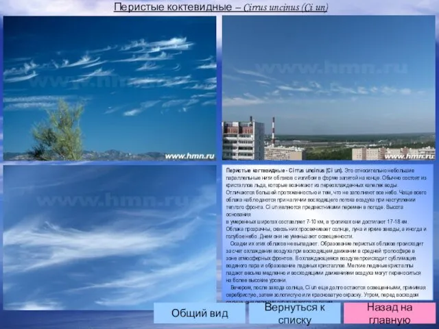 Перистые коктевидные – Cirrus uncinus (Ci un) Перистые когтевидные - Cirrus uncinus