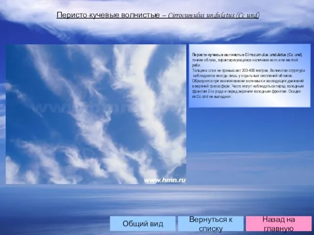 Перисто-кучевые волнистые – Cirrocumulus undulatus (Cc und) Перисто-кучевые волнистые Cirrocumulus undulatus (Cc