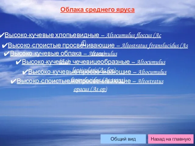 Облака среднего яруса Высоко-кучевые хлопьевидные – Altocumulus floccus (Ac fl) Высоко-слоистые просвечивающие