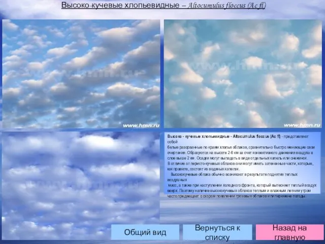 Вернуться к списку Назад на главную Высоко-кучевые хлопьевидные – Altocumulus floccus (Ac