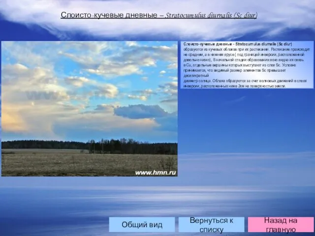 Слоисто-кучевые дневные – Stratocumulus diurnalis (Sc diur) Слоисто-кучевые дневные - Stratocumulus diurnalis