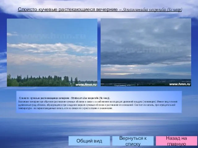 Слоисто-кучевые растекающиеся вечерние – Stratocumulus vesperalis (Sc vesp) Слоисто- кучевые растекающиеся вечерние