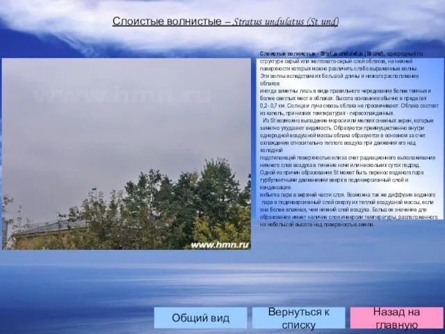 Слоистые волнистые – Stratus undulatus (St und) Слоистые волнистые - Stratus undulatus