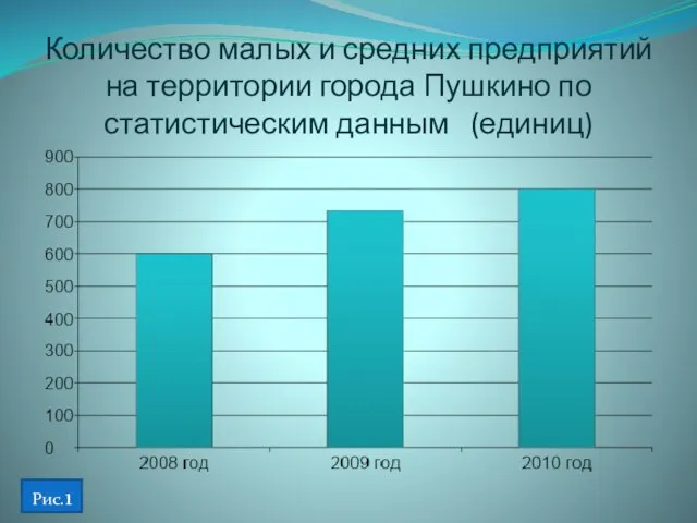 Количество малых и средних предприятий на территории города Пушкино по статистическим данным (единиц) Рис.1