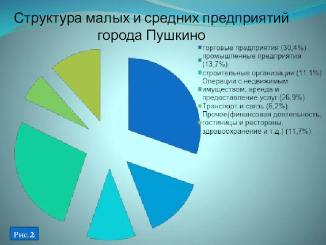 Структура малых и средних предприятий города Пушкино Рис.2