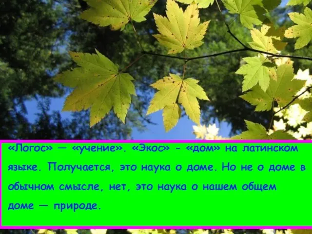 «Логос» — «учение». «Экос» - «дом» на латинском языке. Получается, это наука