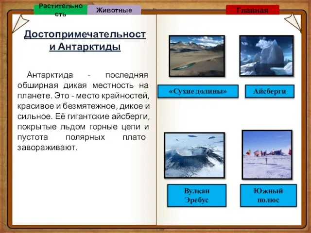 Достопримечательности Антарктиды Вулкан Эребус «Сухие долины» Южный полюс Айсберги Антарктида - последняя