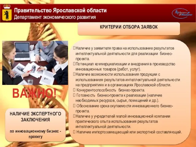 Правительство Ярославской области Департамент экономического развития Наличие у заявителя права на использование