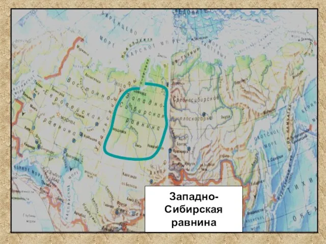 Западно- Сибирская равнина