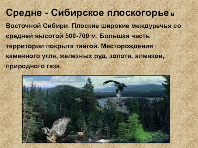 Средне - Сибирское плоскогорье в Восточной Сибири. Плоские широкие междуречья со средней