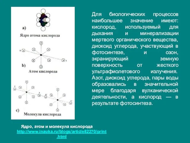 Для биологических процессов наибольшее значение имеют: кислород, используемый для дыхания и минерализации