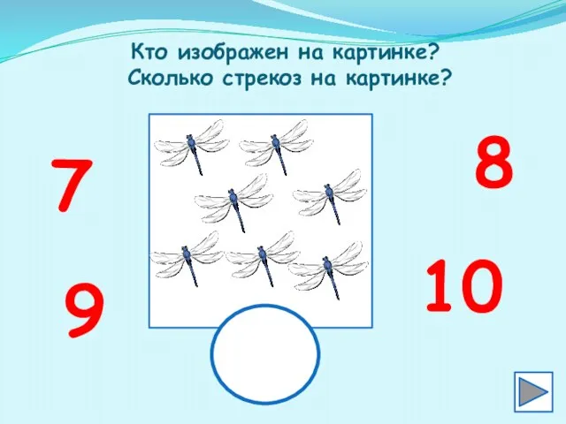 Кто изображен на картинке? Сколько стрекоз на картинке? 7 8 9 10