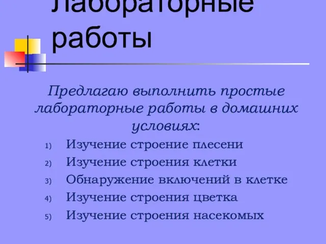 Лабораторные работы Предлагаю выполнить простые лабораторные работы в домашних условиях: Изучение строение