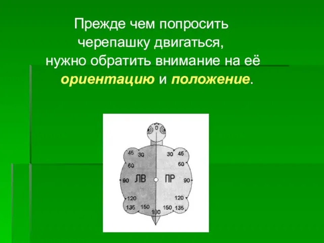 Прежде чем попросить черепашку двигаться, нужно обратить внимание на её ориентацию и положение.