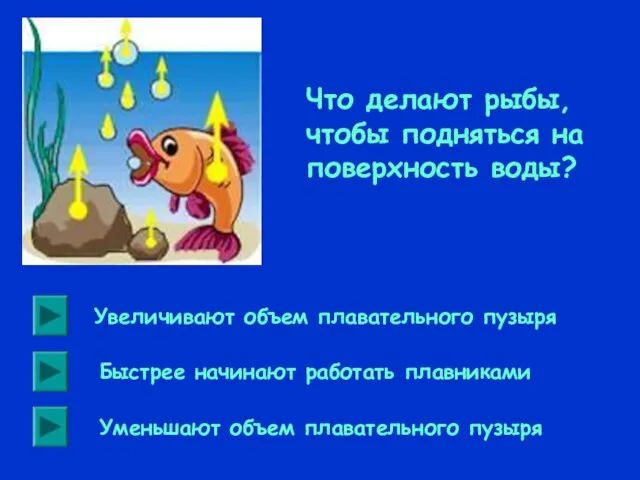 Что делают рыбы, чтобы подняться на поверхность воды? Увеличивают объем плавательного пузыря