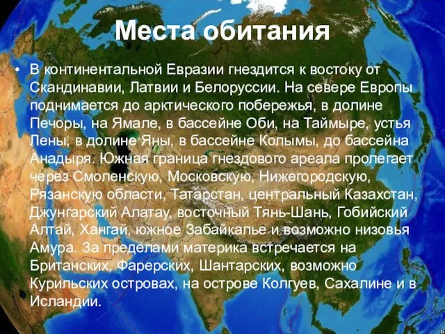 Места обитания В континентальной Евразии гнездится к востоку от Скандинавии, Латвии и