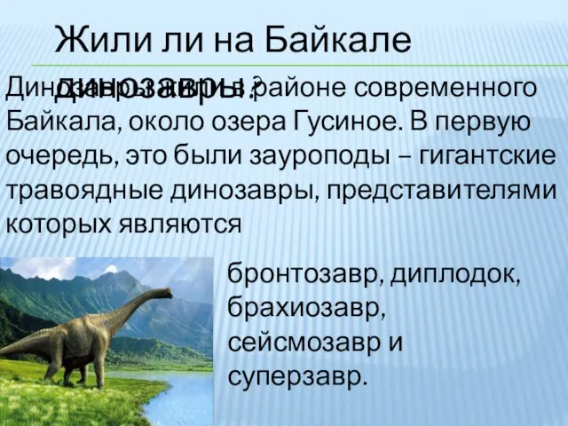 Жили ли на Байкале динозавры? Динозавры жили в районе современного Байкала, около