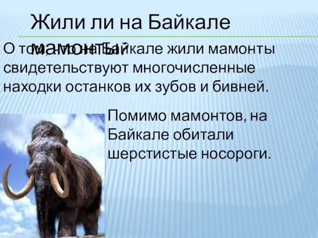 Жили ли на Байкале мамонты? О том, что на Байкале жили мамонты