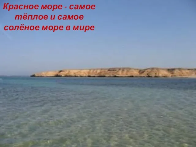 Красное море - самое тёплое и самое солёное море в мире