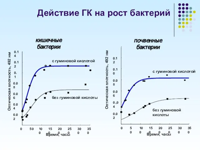 Действие ГК на рост бактерий почвенные бактерии кишечные бактерии